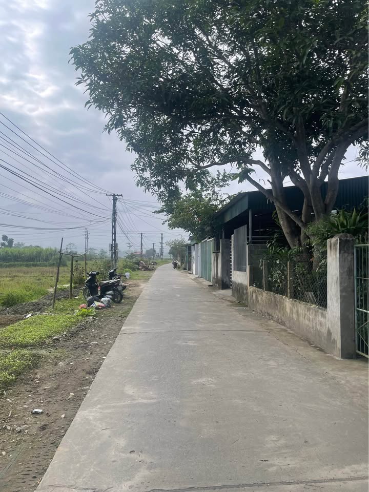 Đất nền Cầu Thia Nghĩa Lộ 224m² giá chỉ 1.1 tỷ - Sổ đỏ chính chủ