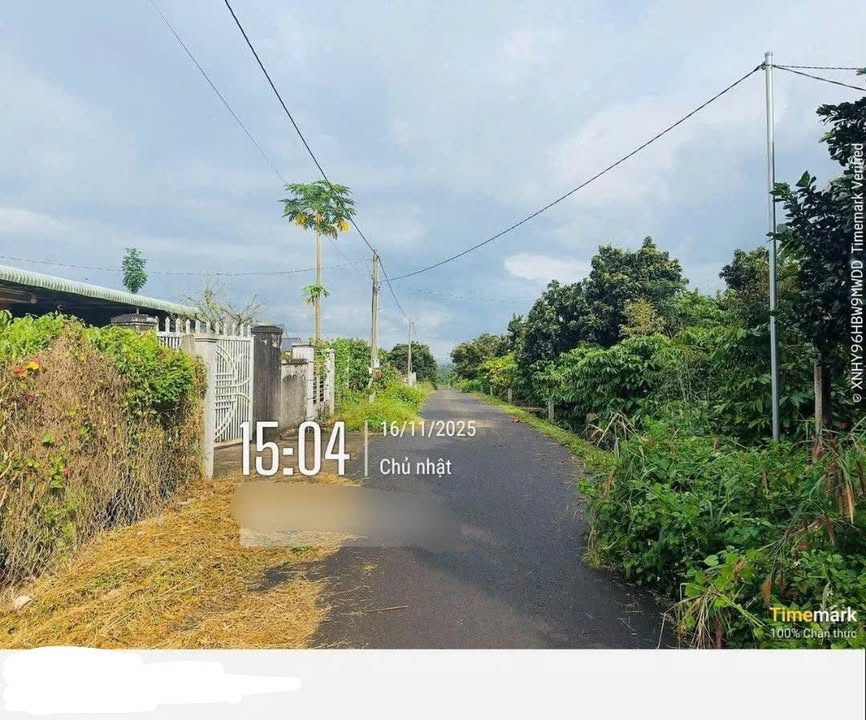 Đất vườn Kim Long - Quảng Thành, 240m² chỉ 1.19 tỷ - Cơ hội đầu tư tuyệt vời!