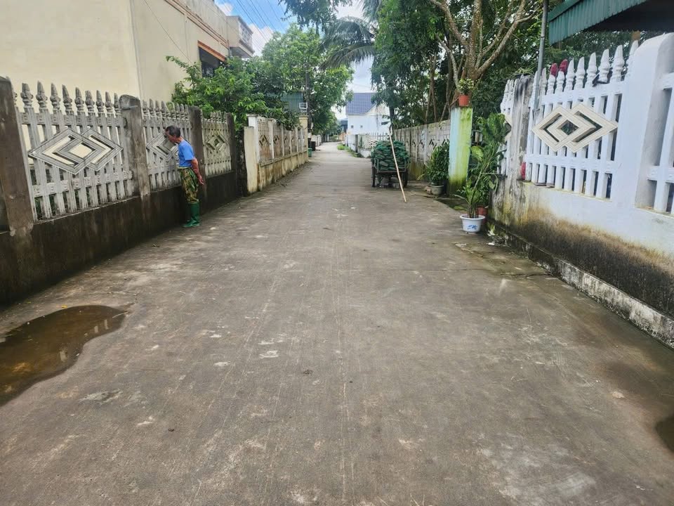 Đất An Nông Triệu Sơn 203m² giá 600 triệu - Cơ hội đầu tư tuyệt vời!