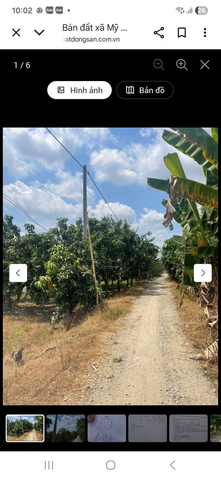 Đất vườn 6700m² tại xã Mỹ An, Chợ Mới - Giá 2.5 tỷ, đầu tư sinh lời!