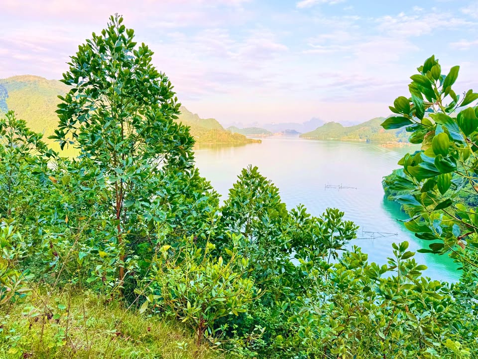 Đất Farm bám hồ Hòa Bình 4500m² giá 200 triệu - Cơ hội đầu tư tuyệt vời!