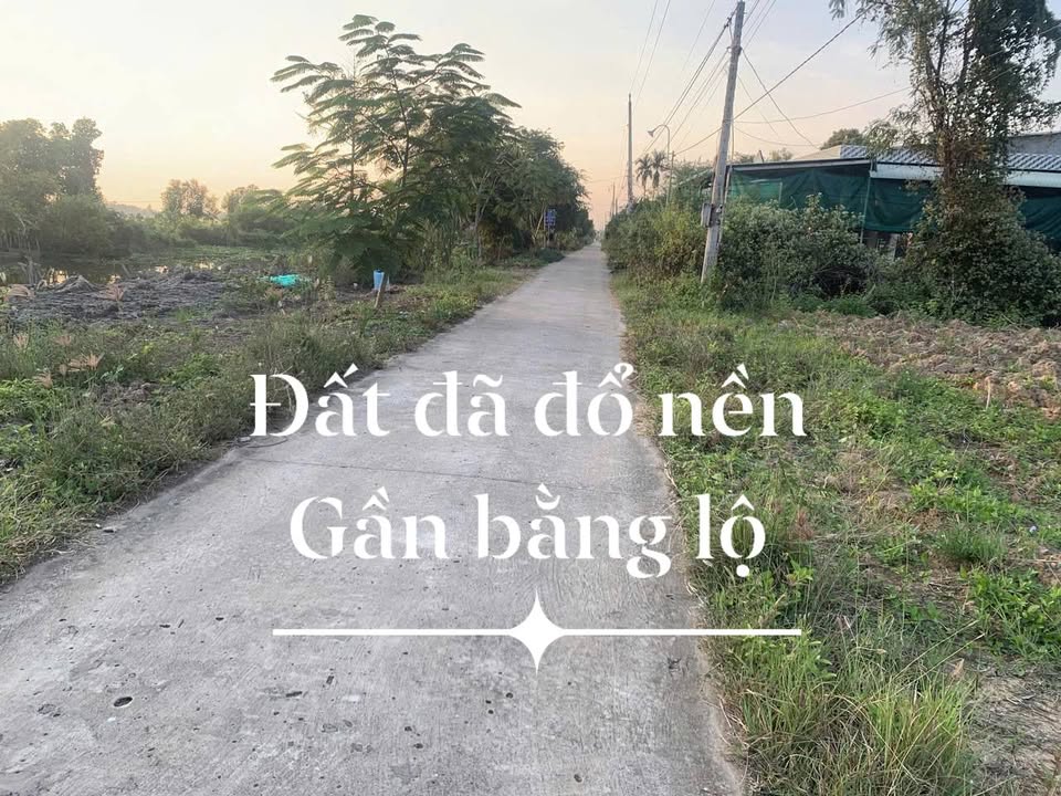 Đất nền đẹp 1500m² tại Vĩnh Đại, Tân Hưng - Giá chỉ 590 triệu!