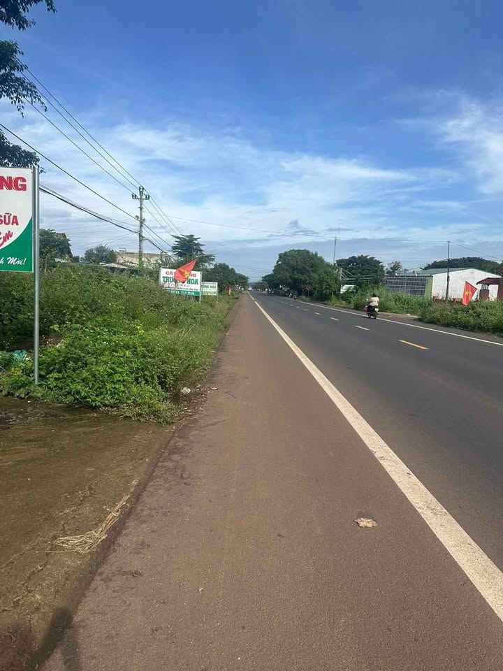 Đất mặt tiền tỉnh lộ 1 Ea Nuôl, Đắk Lắk - Diện tích 810m² giá chỉ 199 triệu - Đầu tư sinh lời hấp dẫn!