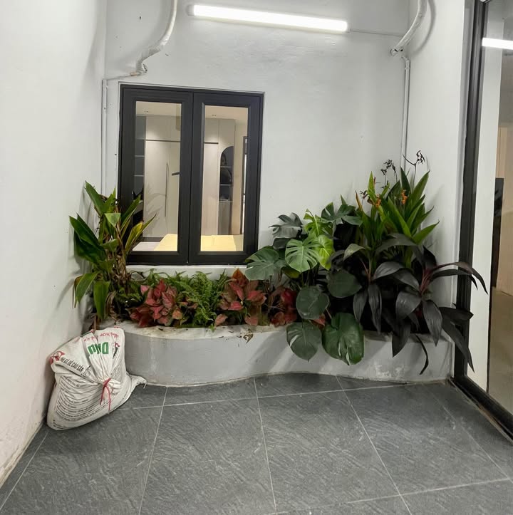 Căn hộ Tập thể Đào Tấn 48m² giá thỏa thuận - Full nội thất, 2 mặt thoáng!