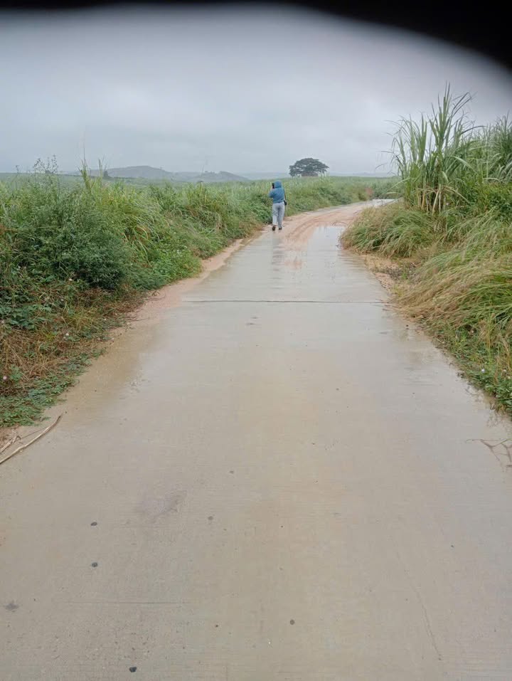 Đất nông nghiệp 3,3ha tại Km 73, Ea Pil - M'Đrăk, Đắk Lắk - Giá chỉ 3,3 tỷ