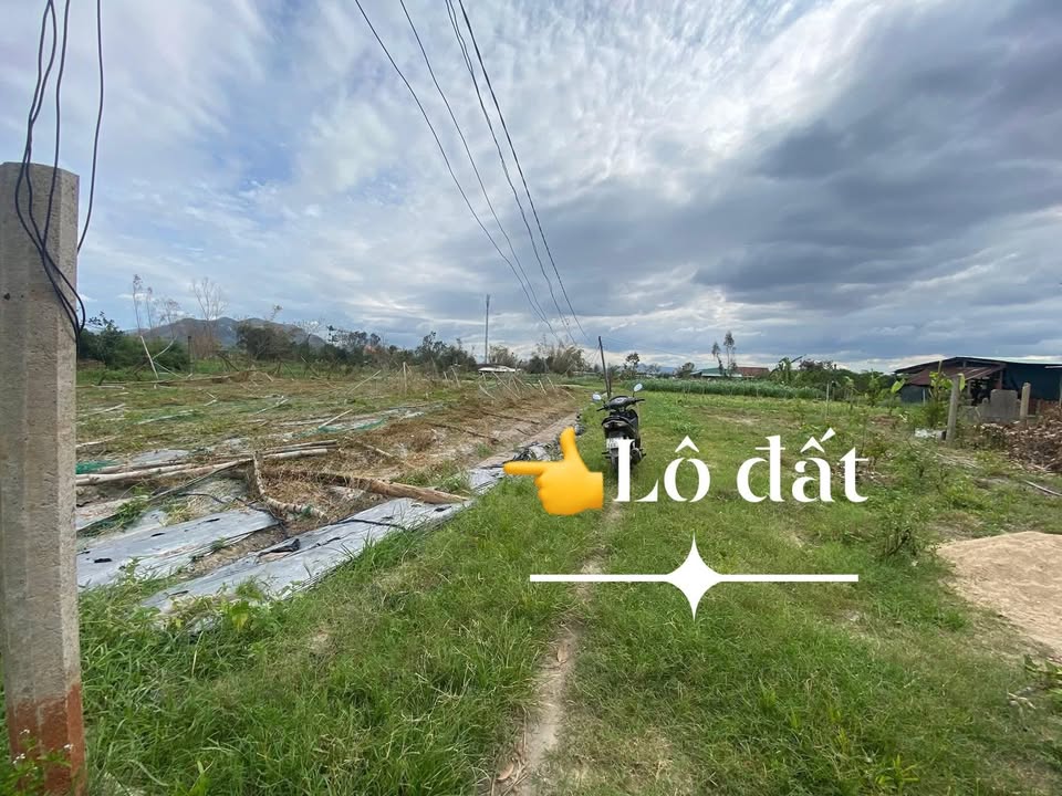 Đất vườn thôn An Sơn, xã Phước An 409m² giá 100 triệu - Cơ hội đầu tư hấp dẫn!