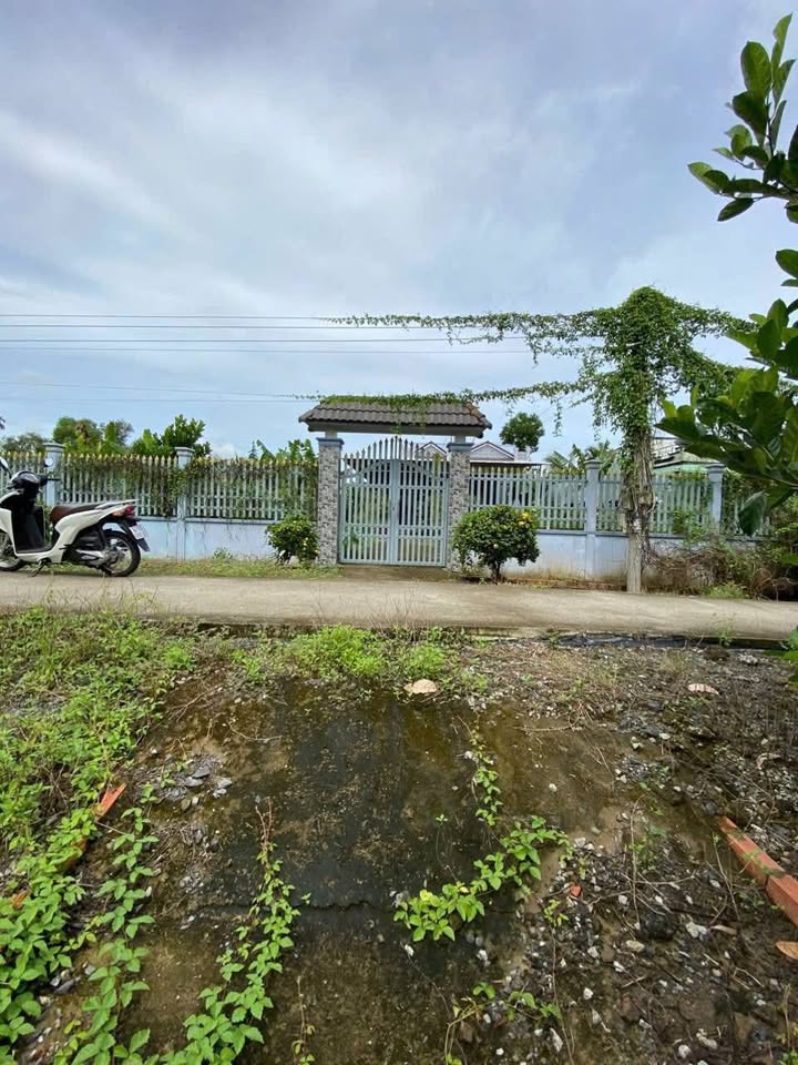 Đất nền 943m² xã Tân Lược, huyện Bình Tân, Vĩnh Long chỉ 1.9 tỷ - Pháp lý rõ ràng!