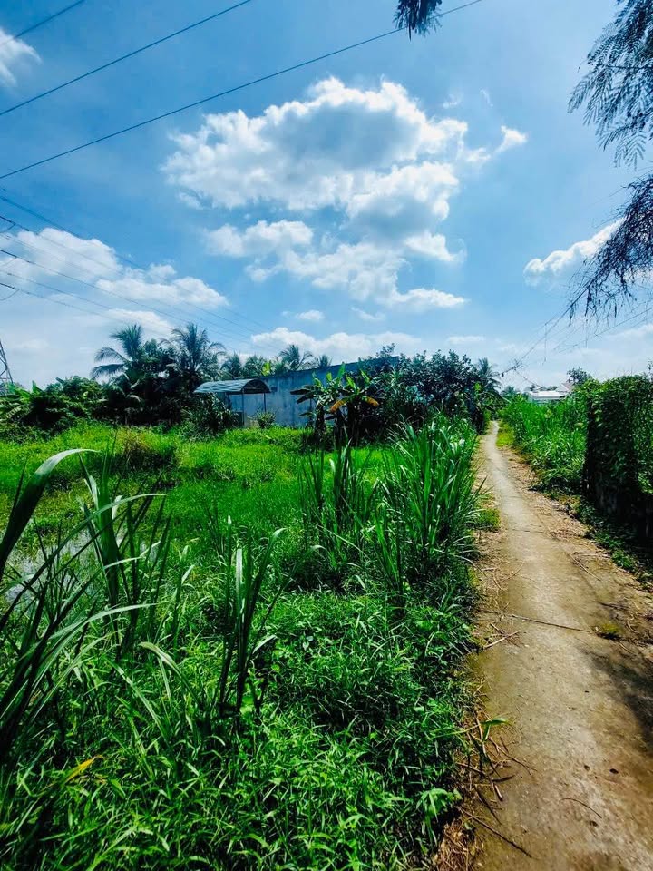 Đất nền phường Sơn Đông, Vĩnh Long 305m² giá 650 triệu - Hướng Tây, không dính quy hoạch!