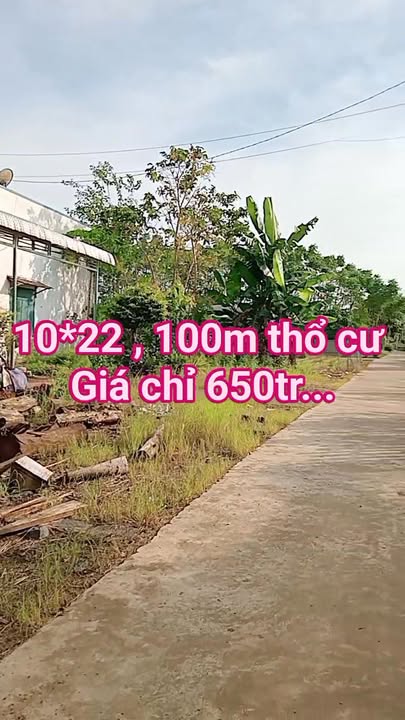 Đất thổ cư Phú Hòa, Định Quán 220m² giá 650 triệu - Gần khu du lịch Suối Mơ!