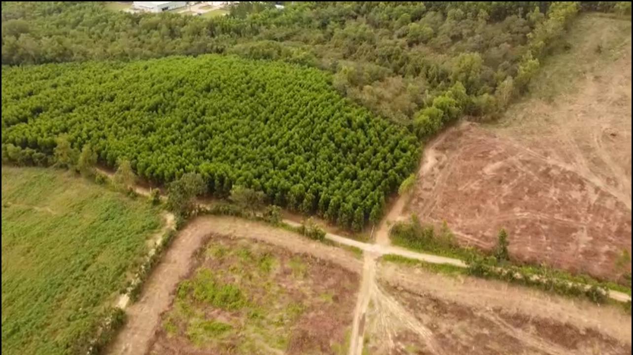 Đất cho thuê 5 mẫu 7 tại Phú Ngọc, Định Quán - Tiện ích đầy đủ, giá thỏa thuận!