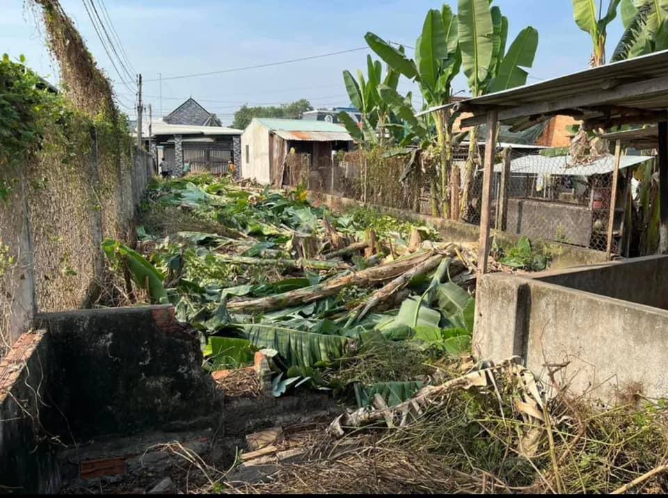 Đất thổ cư An Hòa Trảng Bàng 240m² giá 1.55 tỷ - Đầu tư sinh lời ngay!