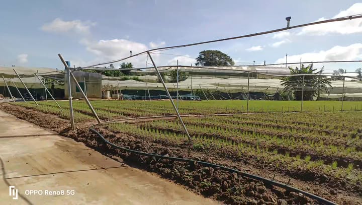 Đất nền 5 sào tại xã Ka Đô, huyện Đơn Dương - Giá chỉ 5 tỷ đồng, mặt tiền rộng 80m!