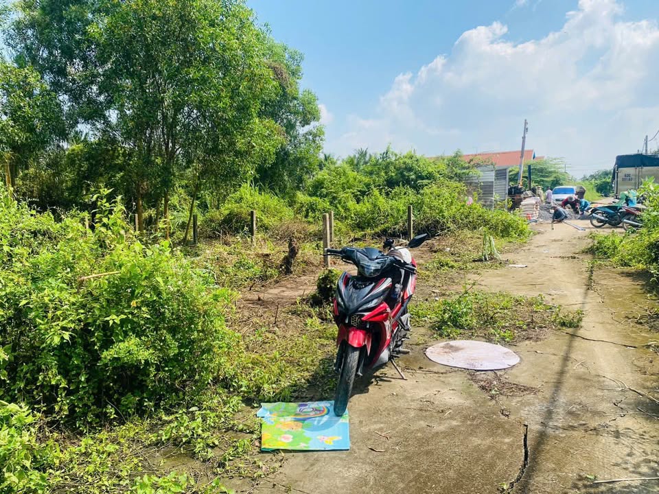 Đất nền Tân Mỹ Chánh 105m² giá 750 triệu - Vị trí đắc địa, tiềm năng phát triển!