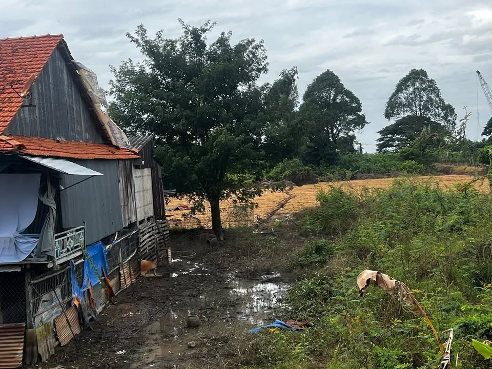 Đất nền 2200m² tại ấp Nhứt, xã An Long, Đồng Tháp - Tiềm năng đầu tư lớn!