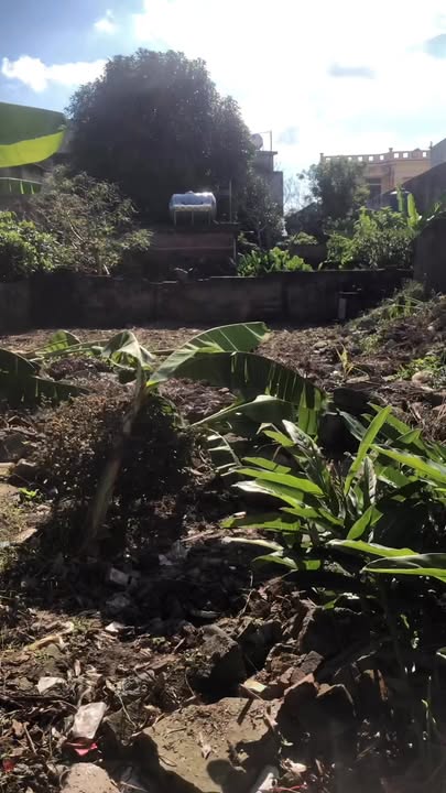 Đất Thổ Cư Thọ Lộc Minh Khai Vũ Thư 65m² giá 400 triệu - Cơ hội vàng cho nhà đầu tư!