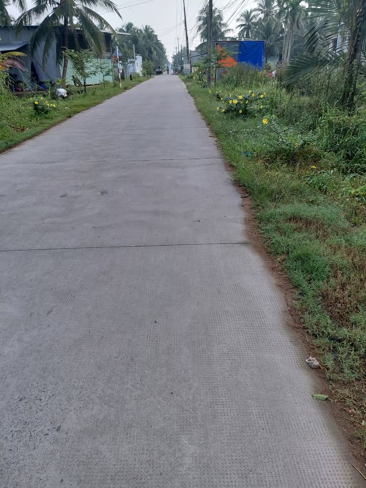 Đất vườn dừa Ngãi Đăng 5000m² giá 1.75 tỷ - Cơ hội đầu tư tuyệt vời!