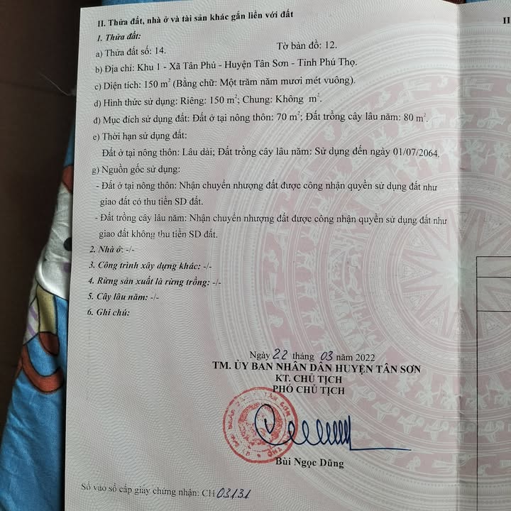 Đất nền Tân Phú, Phú Thọ 150m² - Đầu tư kinh doanh lý tưởng!