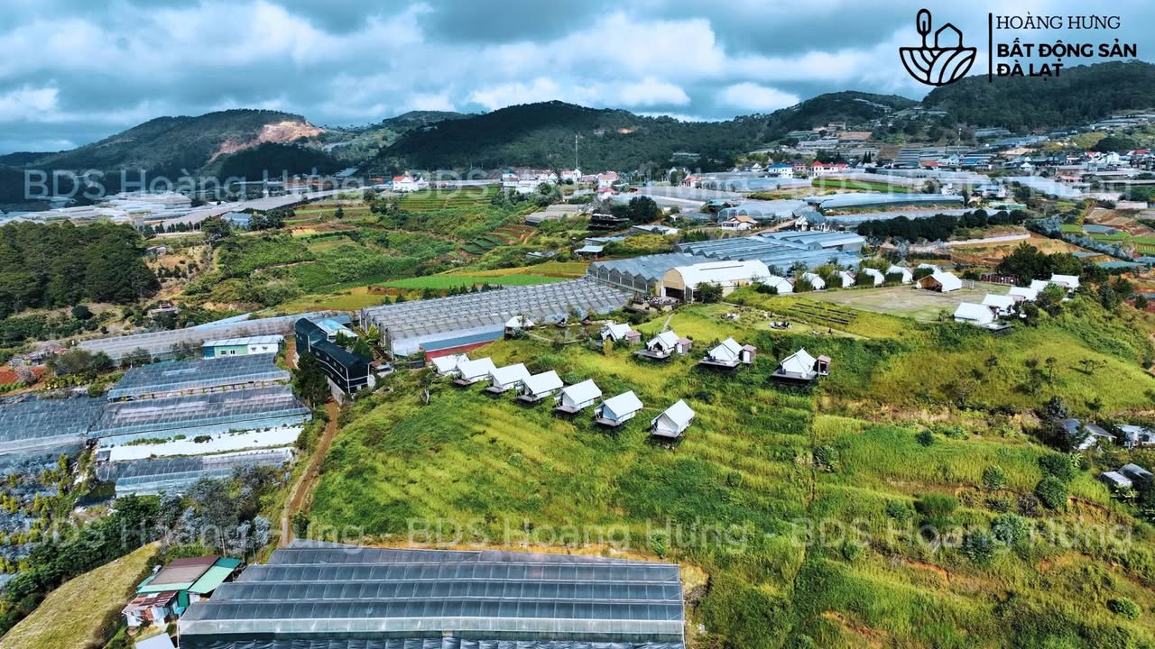 Đất 2 mặt tiền ô tô 1.450m² tại Xuân Trường Đà Lạt - View rừng thông tuyệt đẹp!