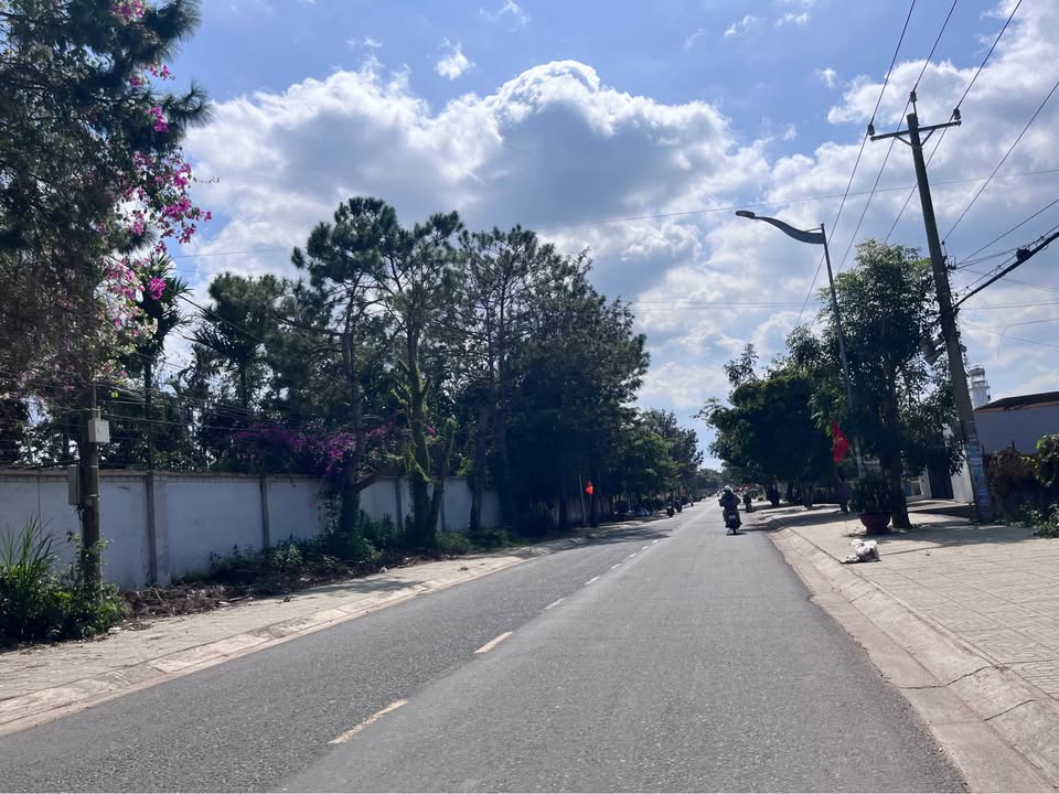 Đất nền 1200m² xã Tân Hội, Đức Trọng chỉ 830 triệu - Cơ hội đầu tư tuyệt vời!