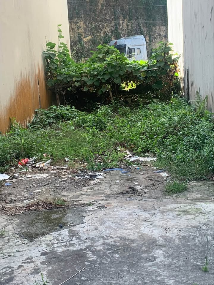 Đất mặt đường Quốc lộ 6 tại Chiềng Sinh 68m² giá 1.55 tỷ - Bán gấp, thương lượng!