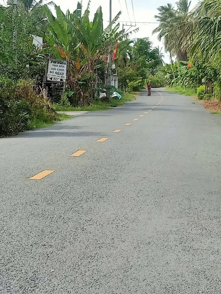 Đất mặt tiền lộ điệp, xã Phú An Hòa, 339m² chỉ 1.3 tỷ - Cơ hội đầu tư lý tưởng!