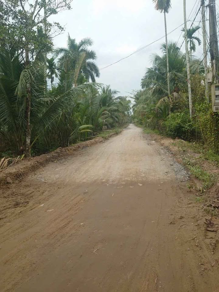 Đất vườn dừa Lương Hòa 4700m² giá chỉ 250 triệu - Cơ hội đầu tư tuyệt vời!