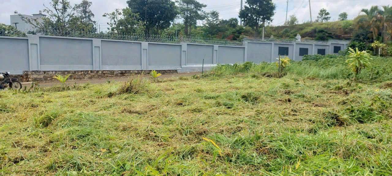 Đất nền biệt thự hẻm 406 Trần Hưng Đạo, Lộc Sơn 420m² giá 2.55 tỷ - Sẵn sàng đầu tư!