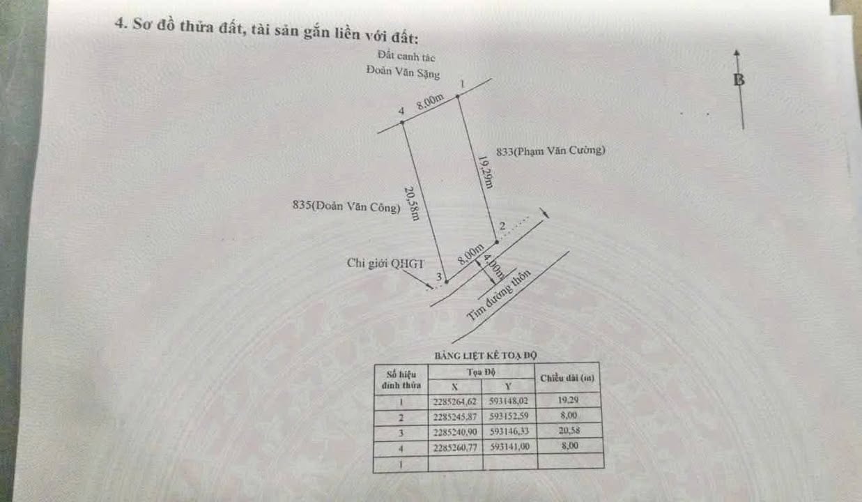 Đất nền Chấn Hưng Tiên Lãng 8m² - Cơ hội đầu tư hấp dẫn!
