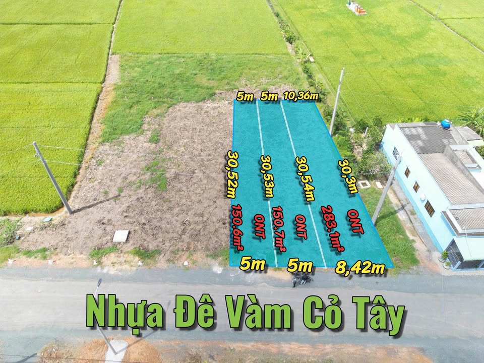 Đất nền Nhựa Đê Bao, Tân Trụ, 150m² giá 1.39 tỷ - Lợi thế mặt tiền rộng rãi!