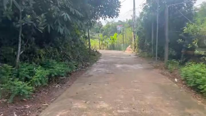 Đất thổ cư Phong Châu, Phú Thọ 119.5m² giá 700 triệu - Tiềm năng đầu tư sinh lời!