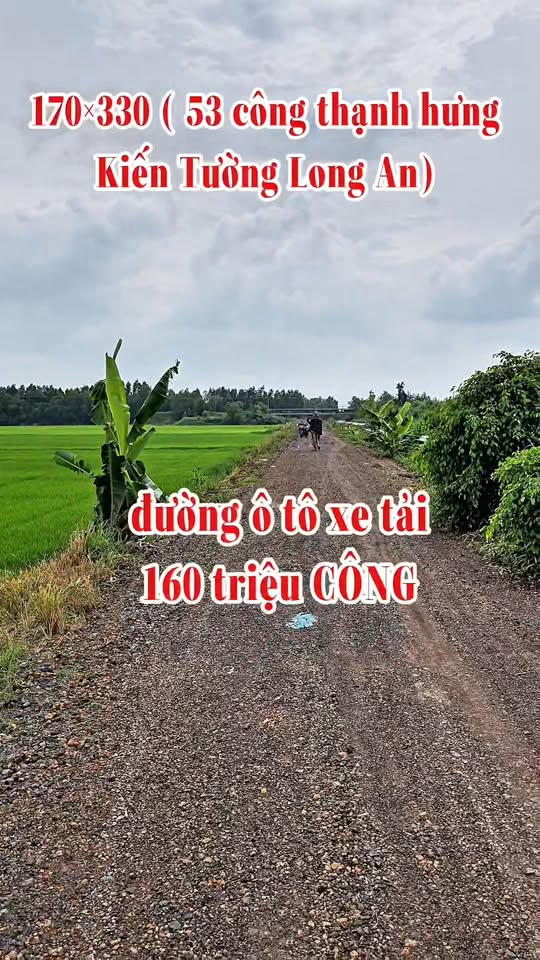 Đất nền Thạnh Hưng, Kiến Tường 530.000m² giá 8.48 tỷ - Cơ hội đầu tư tuyệt vời!