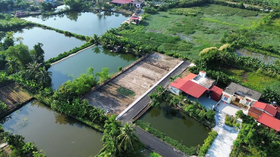 Đất nền An Hưng Hồng Bàng 82m² giá chỉ 100 triệu - Tiềm năng đầu tư cao!