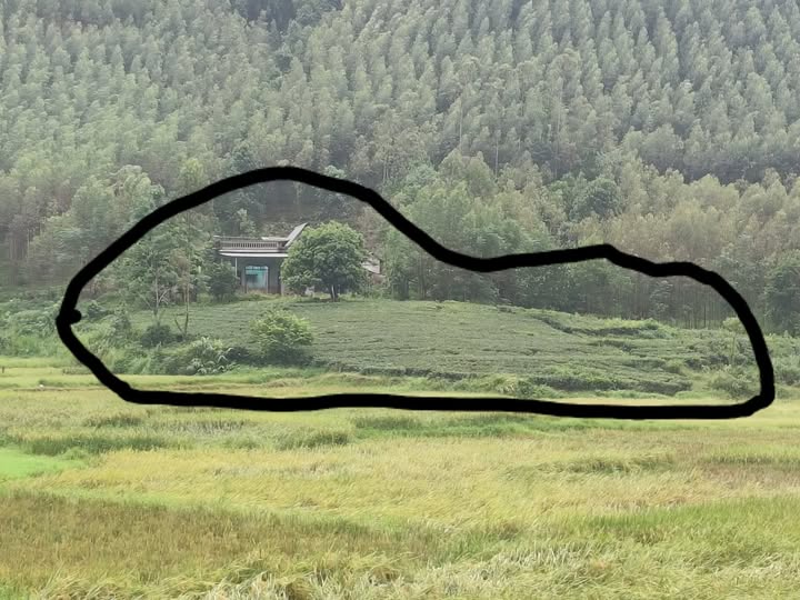 Đất nền chính chủ Đoan Hùng 2500m² giá 1.1 tỷ - Cơ hội đầu tư tuyệt vời!