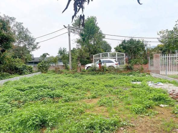 Đất nền Cư Yên, Lương Sơn 234m² giá 2 tỷ - Vị trí đắc địa gần KCN