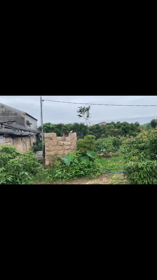 Đất nền Đồng Cốc Lục Ngạn 9337m² giá 1.15 tỷ - Cơ hội đầu tư tuyệt vời!