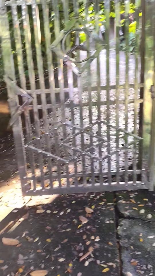 Đất nền Tây Cốc Đoan Hùng 3000m² - Cơ hội đầu tư sinh lời!