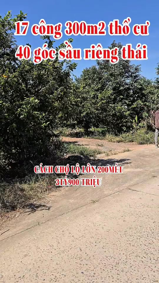 Đất nền 17.222m² xã Tuyên Thạnh, Kiến Tường - Giá chỉ 3.9 tỷ, cơ hội đầu tư hấp dẫn!