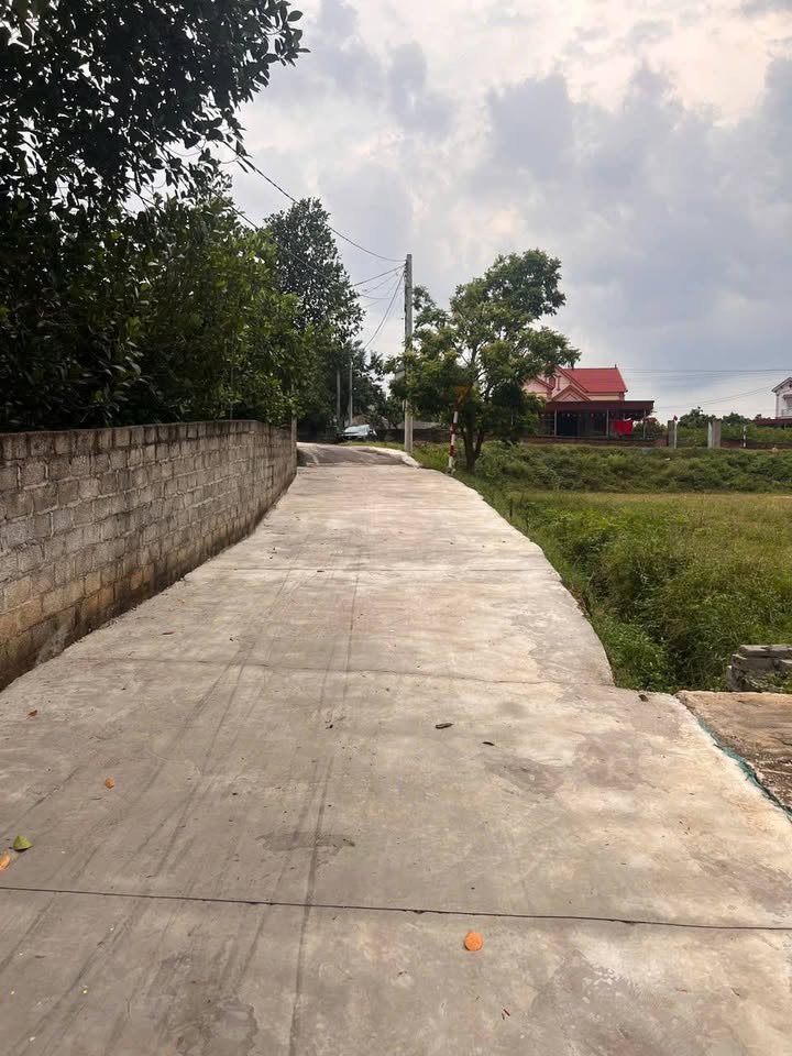 Đất nền Lục Nam Bắc Giang 170m² giá 900 triệu - Cơ hội đầu tư tuyệt vời!