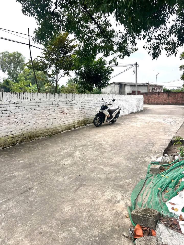 Đất nền Cao Xá Tân Yên 130m² giá chỉ 600 triệu - Đường ô tô vào tận nơi!