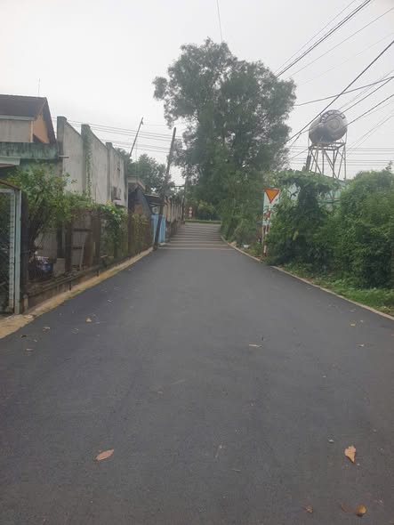 Đất mặt tiền Bến Cát 5000m² giá chỉ 5 triệu/m² - Cơ hội đầu tư tuyệt vời!