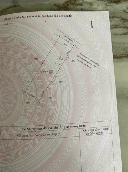 Đất nền Bến Tượng, Bến Cát 650m² - Giá chỉ 1.68 tỷ, cơ hội đầu tư tuyệt vời!