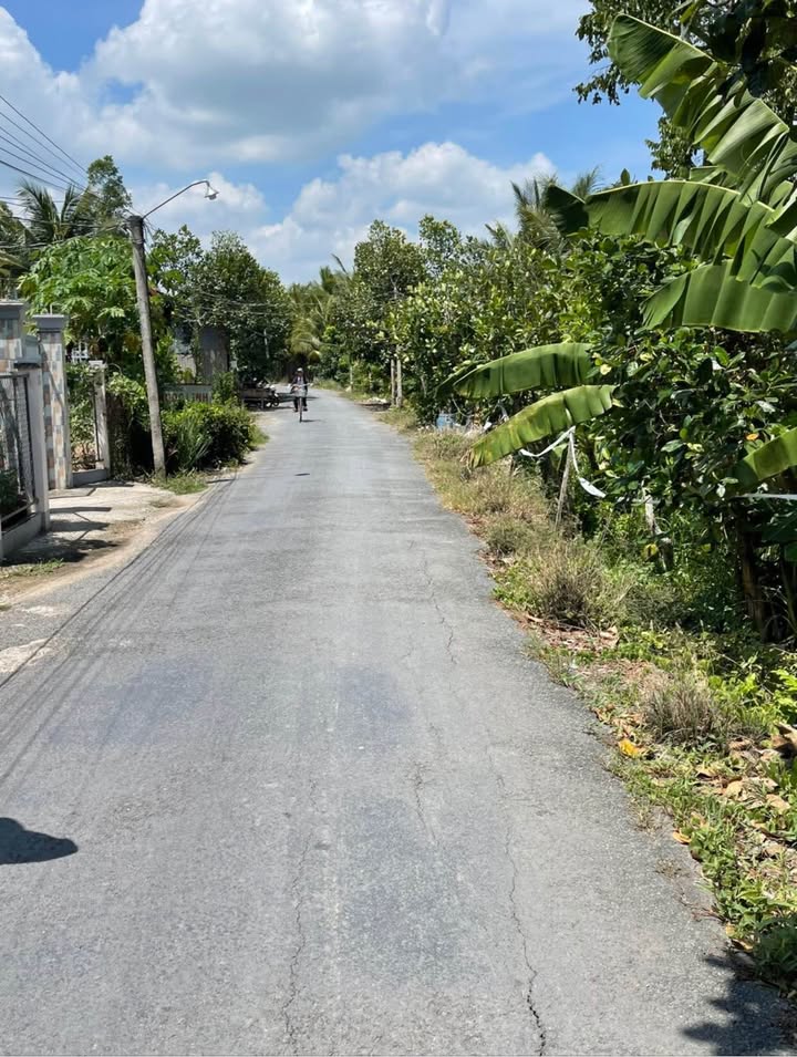 Đất nền mặt tiền đường Hồ Thị Trầm, phường Cao Lãnh, 150m² giá 550 triệu - Cơ hội đầu tư lý tưởng!