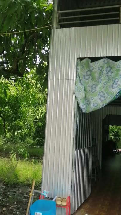 Nhà bán 185m² tại Ấp Tịnh Hưng, Cao Lãnh - Giá chỉ 450 triệu, thương lượng!