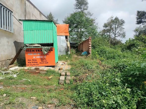 Đất thổ cư 150m² tại Bảo Lộc - Giá chỉ 1.25 tỷ - Cơ hội đầu tư sinh lời!