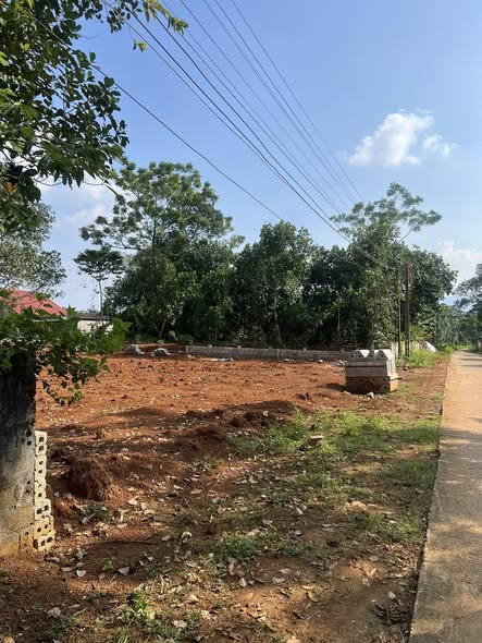 Đất liền kề Thọ Tân, Triệu Sơn 123m² - Giá thỏa thuận, vị trí đắc địa!