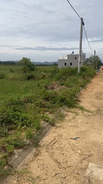 Đất thổ cư Hợp Thành Triệu Sơn 100m² giá chỉ 600 triệu - Cơ hội đầu tư sinh lời!