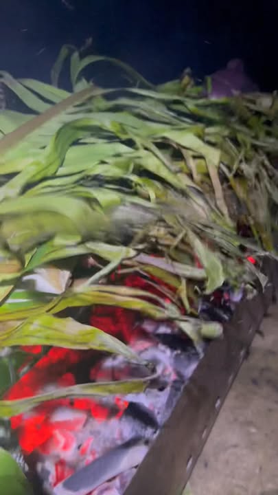 Đất nền xã Vạn An, huyện Nam Đàn 299m² - Cơ hội đầu tư tuyệt vời!