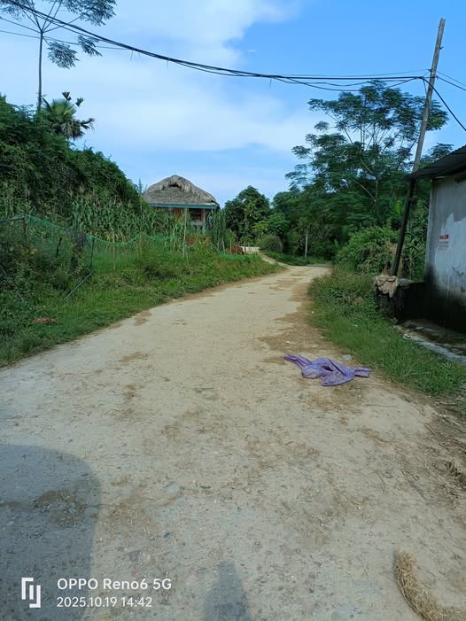 Đất thổ cư Sơn Dương 3.887m² giá 1.1 tỷ - Vị trí đẹp, tiềm năng lớn!