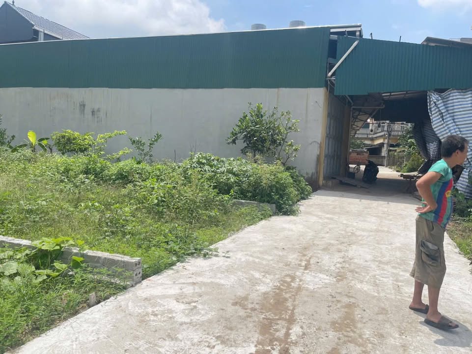 Đất nền chính chủ Tân Dân Phú Xuyên 117m² giá chỉ 2x triệu - Cơ hội đầu tư tuyệt vời!