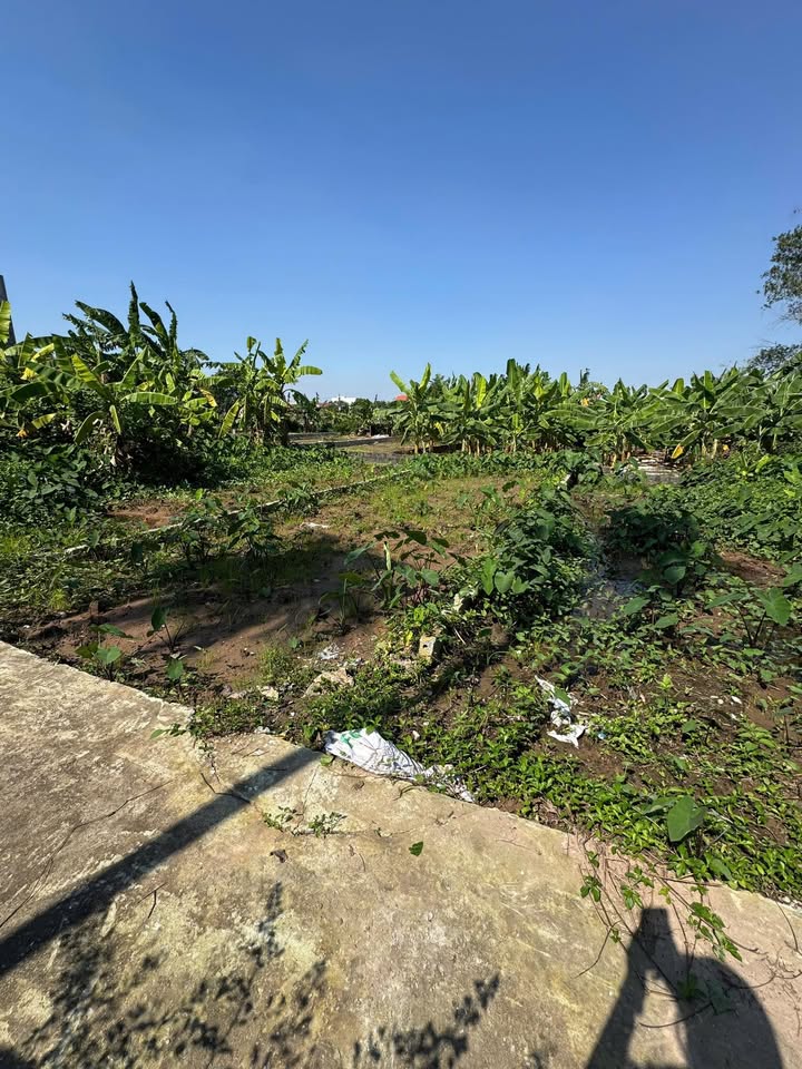 Đất nền xã Chương Dương, Thường Tín 48,5m² giá 2,5 tỷ - Đường ô tô vào tận đất!